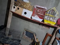 KAFES CIFTLI TEKLI YUMURTALIK