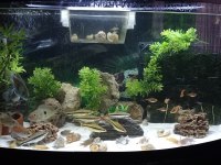 1 metrelik bombeli mobilyalı akvaryum full