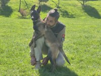 FULL EĞİTİMLİ BELÇİKA KURDU 7 AYLIK