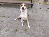 Ciddi alıcılar ulaşsın lütfen