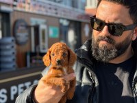 Gerçek Maltipoo Yavrularımız İçin Arayınız 