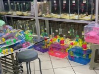 KAMPANYALI KAFES VE HAMSTER DOĞRU ADRES