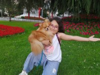 Ev Üretimi Pomeranian Boo