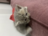 Yeni yuvaları yeni huzur dolu mutlu olsun inşallah