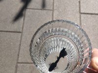 Siyah betta balığı asil duran