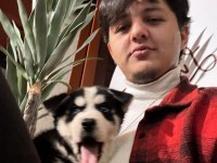 ÇOK SAĞLIKLI 2 AYLIK CİVARI TASMA VE 2 ÇANTA HEDİYE HUSKY