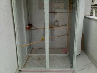 2 aylık kanaryalar