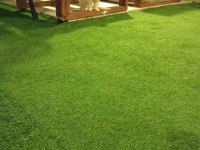 Pomeranian boo yavrularımız ırk garantili teslim