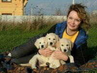 Golden Retriever Kapıda Ödeme Hizmetimiz Vardır