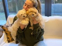 EŞSİZ BİR MALTİPOO DENEYİM İÇİN BİZİ ARAMADAN KARAR VERMEYİN