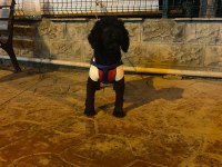 SİYAH DİSİ MİNYATÜR POODLE KİZANDA SU AN