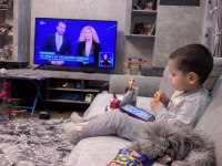 Korekan silver nadir renk poodle
