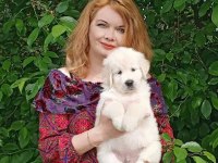 Golden Retriever Gelip Görerek Alabilirsiniz