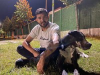 1 yaşında danua blue merle