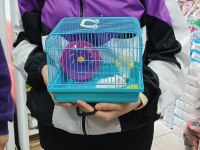 renk renk yavru hamsterler