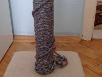 4 aylık blue point dişi eşyaları ile birlikte verilecek