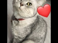 Eşyaları mevcut