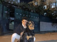 KOCA KAFA MACAR ROTTWEİLER KÖPEĞİ