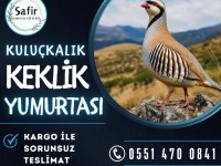 KEKLİK YUMURTASI BULUNMAKTADIR
