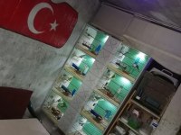 Yerli üretim rengarenk kuşlar kalem gibi