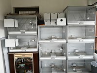 5 KOMPOZİT KAFES + 2 ERKEK 1 DİŞİ MUHABBET KUŞU