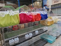 Kafes tülleri her beden mevcut