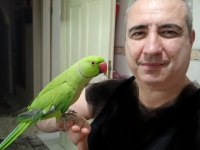 Varmı böylesi pakistan papağanı