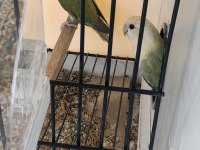 Üst vasıf mutasyon sevda takımlar kaçırmayın
