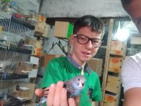 Konuşturmalık bebek muhabbet kuşlar