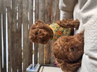 Her aileye uygun toy poodle bebekler