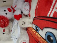 Pomeranian boo 55 günlük