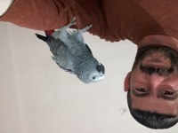 Uysal Ecil Olan Paşamızı Sahiplendirmek Durumundayız.