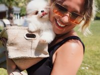 Tea Cup Orjinal Toy Poodle Yavrularımız