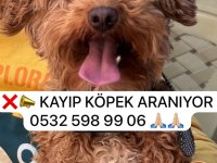 Ankara Batıkent KAYIP aranıyor