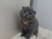 A KALITE AYI SURAT KEDİMİZ