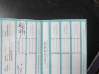 8 aylık karnesi var çipi takılı tilki surat pomeranian