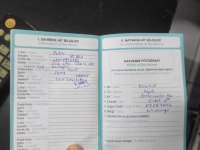 8 aylık karnesi var çipi takılı tilki surat pomeranian