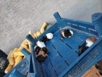 Elimde sürekli ginepig bulunur gönderim yaparız