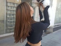 Karamel shih tzu
