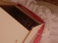 Yumurtada muhabbet kuşu bebekler var diyene ayırırız