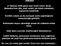 Muhabbet kuşum kayboldu