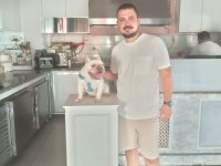 French bulldog