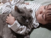 Kedimiz pofimizi mecburi sebeplerden sahiplendiriyoruz