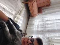 Anne british baba russian blue sağlıklı dişi 4 aylık