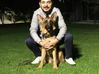 2 yaş ŞECERELİ ALMAN ÇOBAN KÖPEĞİ