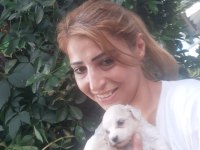 Maltese terrier