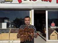 yılın en iyisi ret brown toy poodle özel ırk arayanlara 