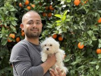 Maltese Terrier Güncel Yavrularımız