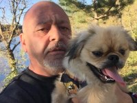 2 yaşında erkek köpeğime dişi eş arıyorum