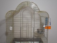 Papağan Kafesi